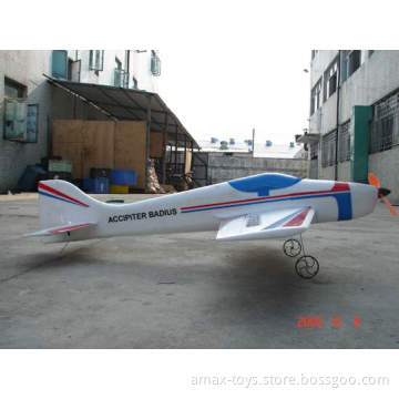 ep-503 F3A plane - ACCIPITER BADIUS, new designed rc plane